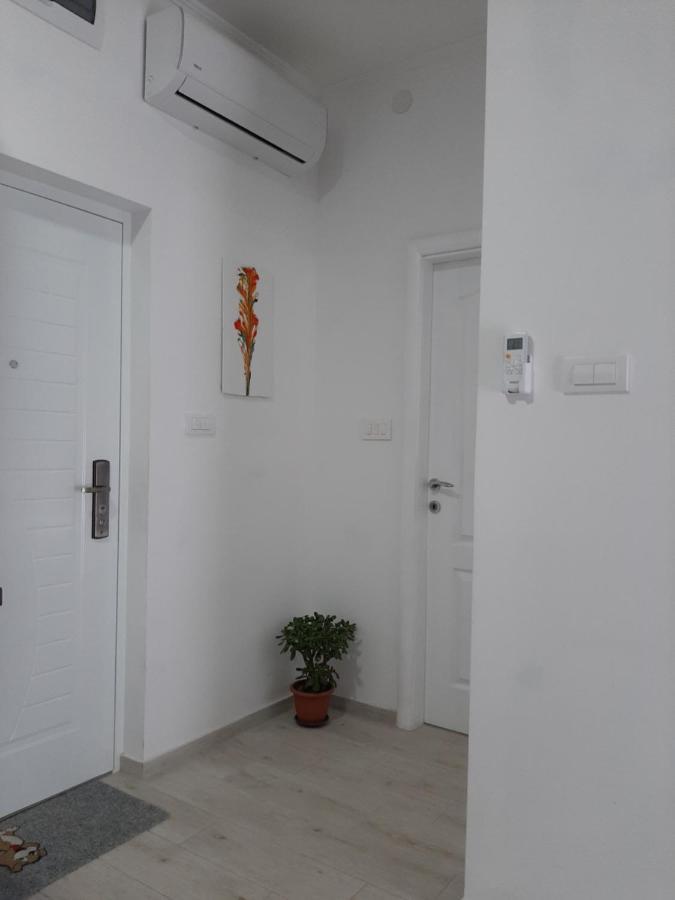 Apartments Ogurlic تْشيرسيك نوفي المظهر الخارجي الصورة
